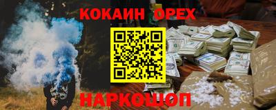 тгк Бийск
