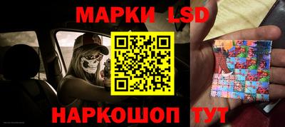 стафф Берёзовский