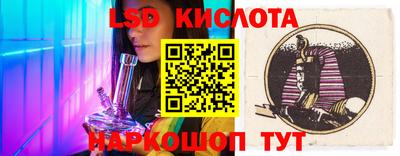 тгк Бийск