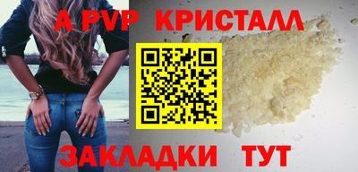 тгк Бийск